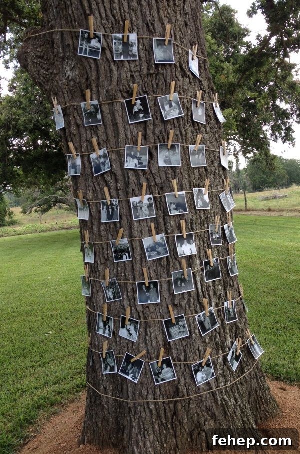 Image for Natural Photo Display