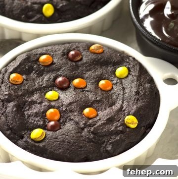 A plate of chocolate brownies with chocolate chips, perfect for two.