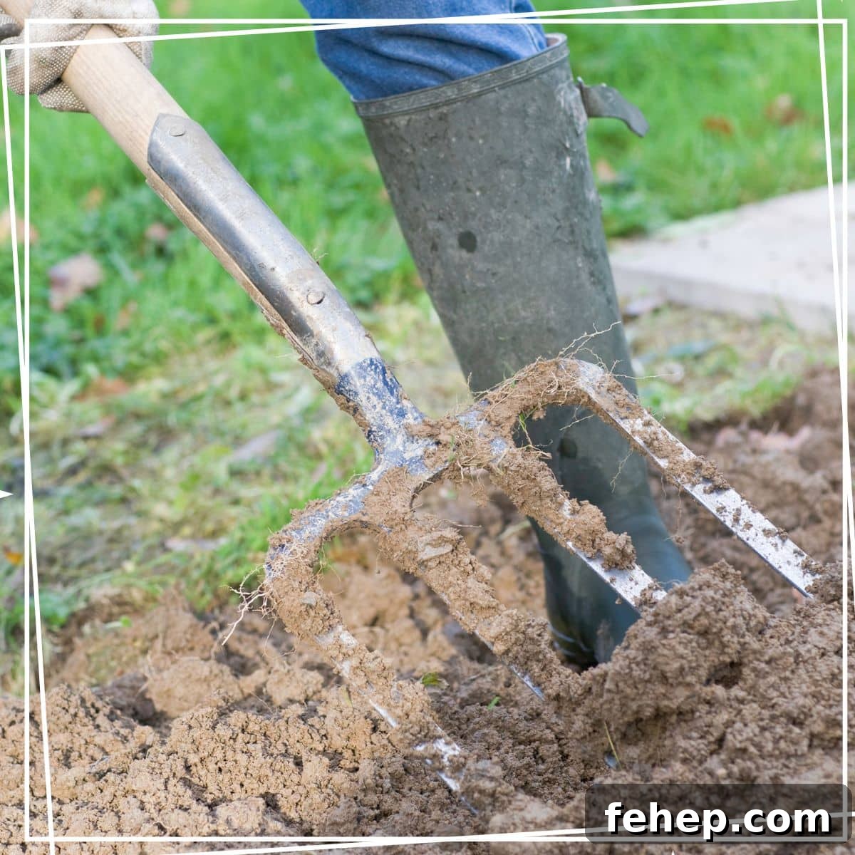 Grow Potatoes at Home: A Complete Guide for Gardeners 3 preparing soil