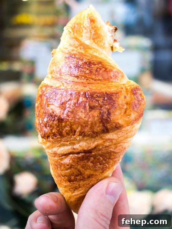 a flaky French croissant close-up