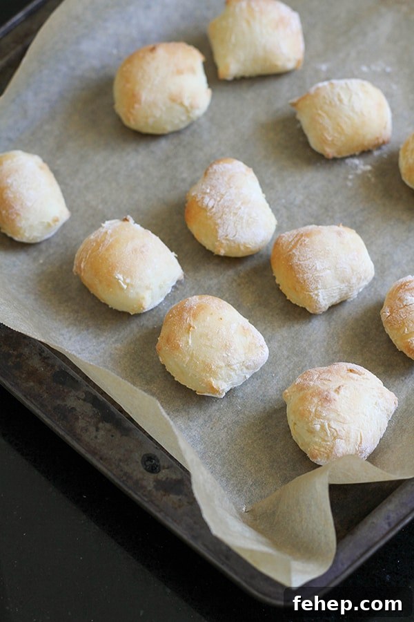 Cinnamon Sugar Pretzel Bites (Yeast-Free) 7 cooked pretzel bites on a baking tray.