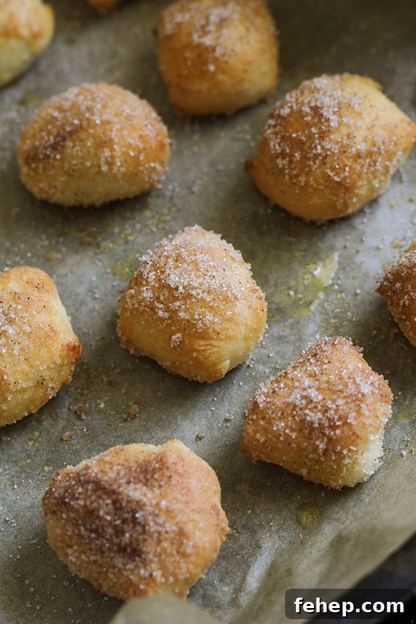 Cinnamon Sugar Pretzel Bites (Yeast-Free) 10 pretzel bites covered in cinnamon sugar on a baking tray.