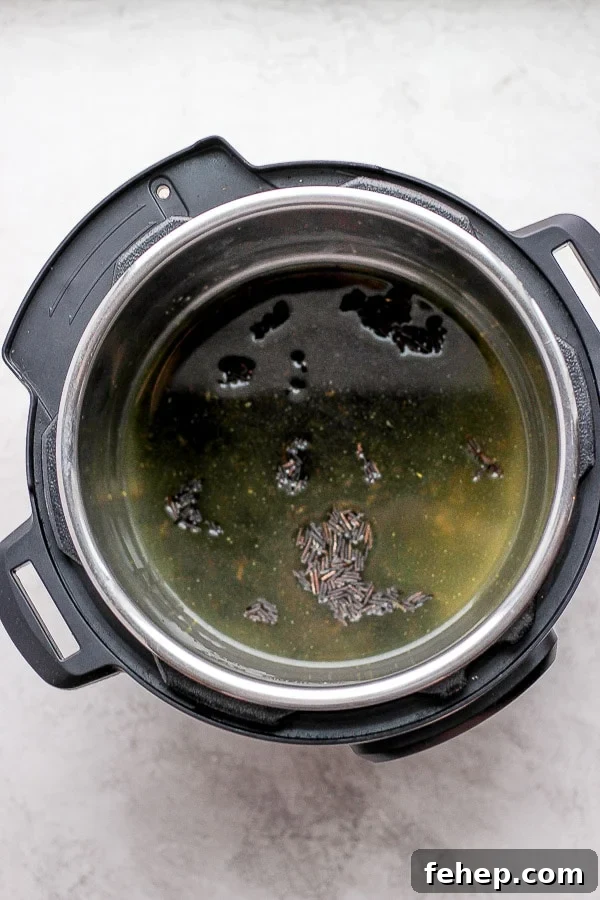 Wild rice in an instant pot with chicken broth and salt.
