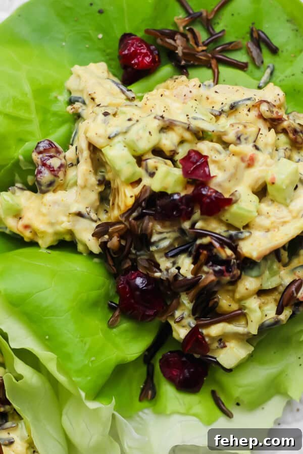 Curried chicken salad in a lettuce wrap with wild rice and dried cranberries.