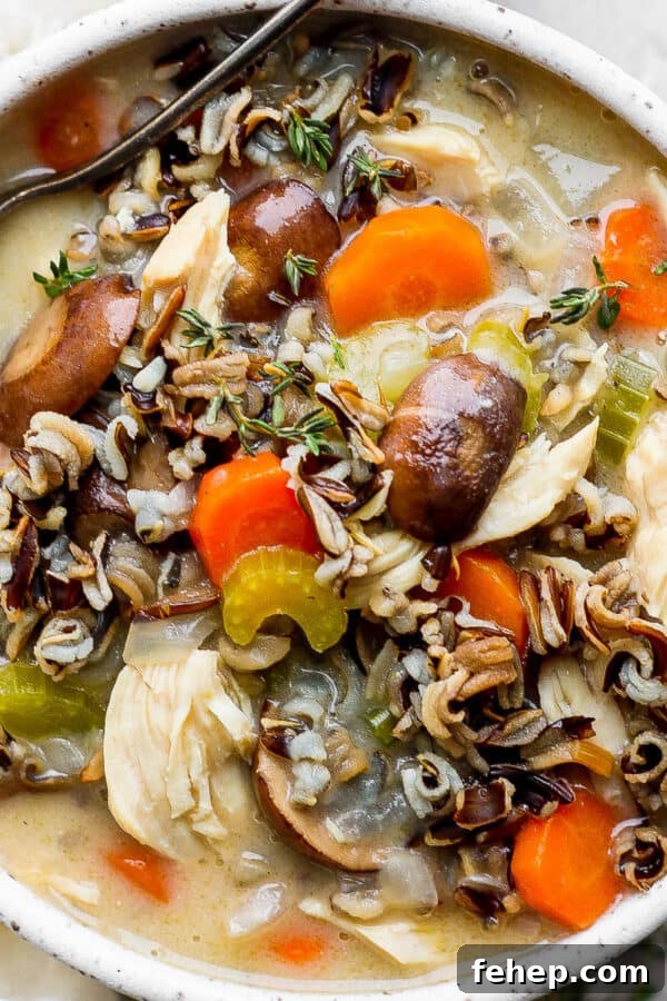 Bowl of chicken and wild rice soup.