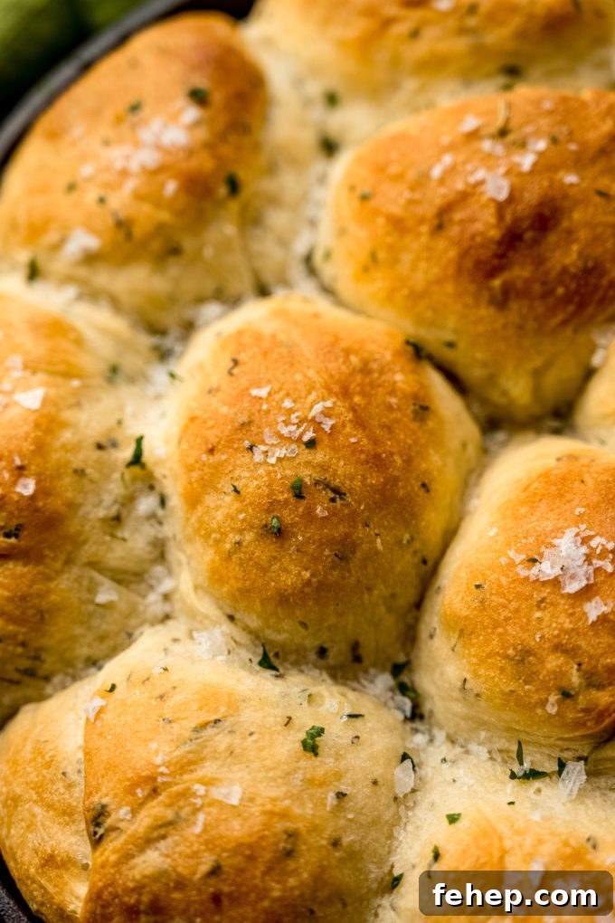 A closeup of herbed skillet rolls.