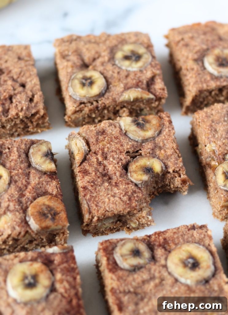 Vegan Whole Wheat Banana Bread