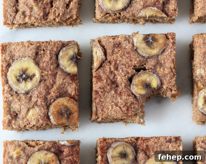 Vegan Whole Wheat Banana Bread