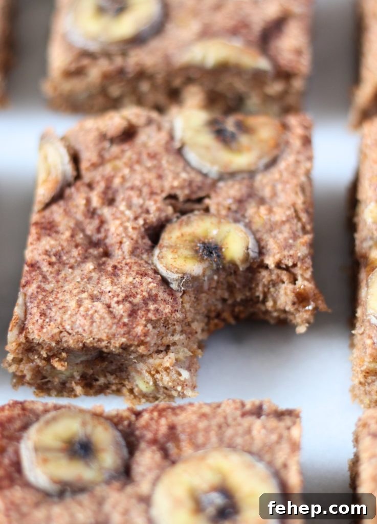 Vegan Whole Wheat Banana Bread