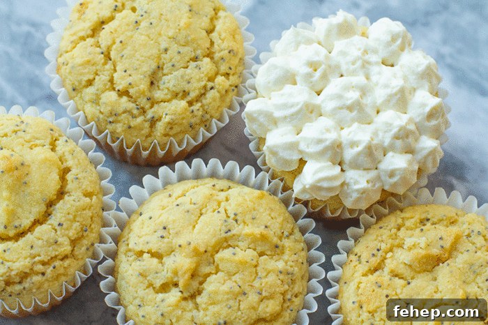 Lemon Poppy Seed Muffins