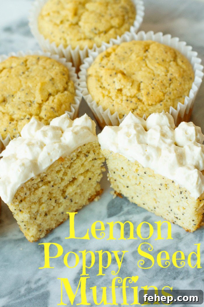 Lemon Poppy Seed Muffins