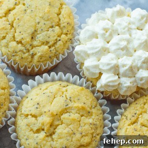 Lemon Poppy Seed Muffins