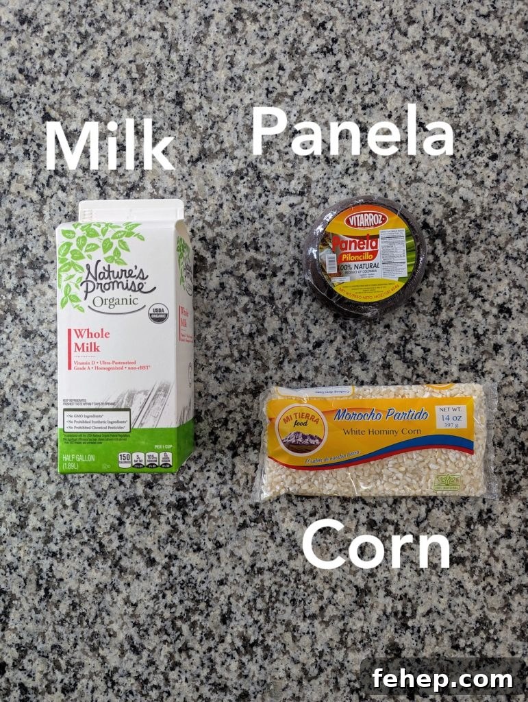 Colombian Atol: Traditional Corn Drink Recipe and Tips 5 img 11558 4