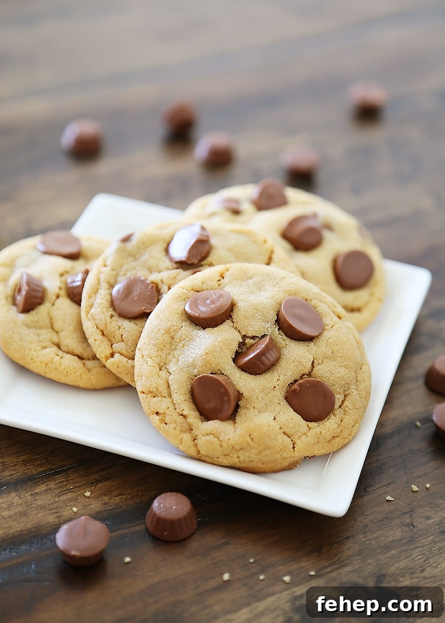 Soft Peanut Butter Cup Cookies - Perfectly soft and chewy peanut butter cookies, with gooey chocolate peanut butter cups hidden inside! Thecomfortofcooking.com