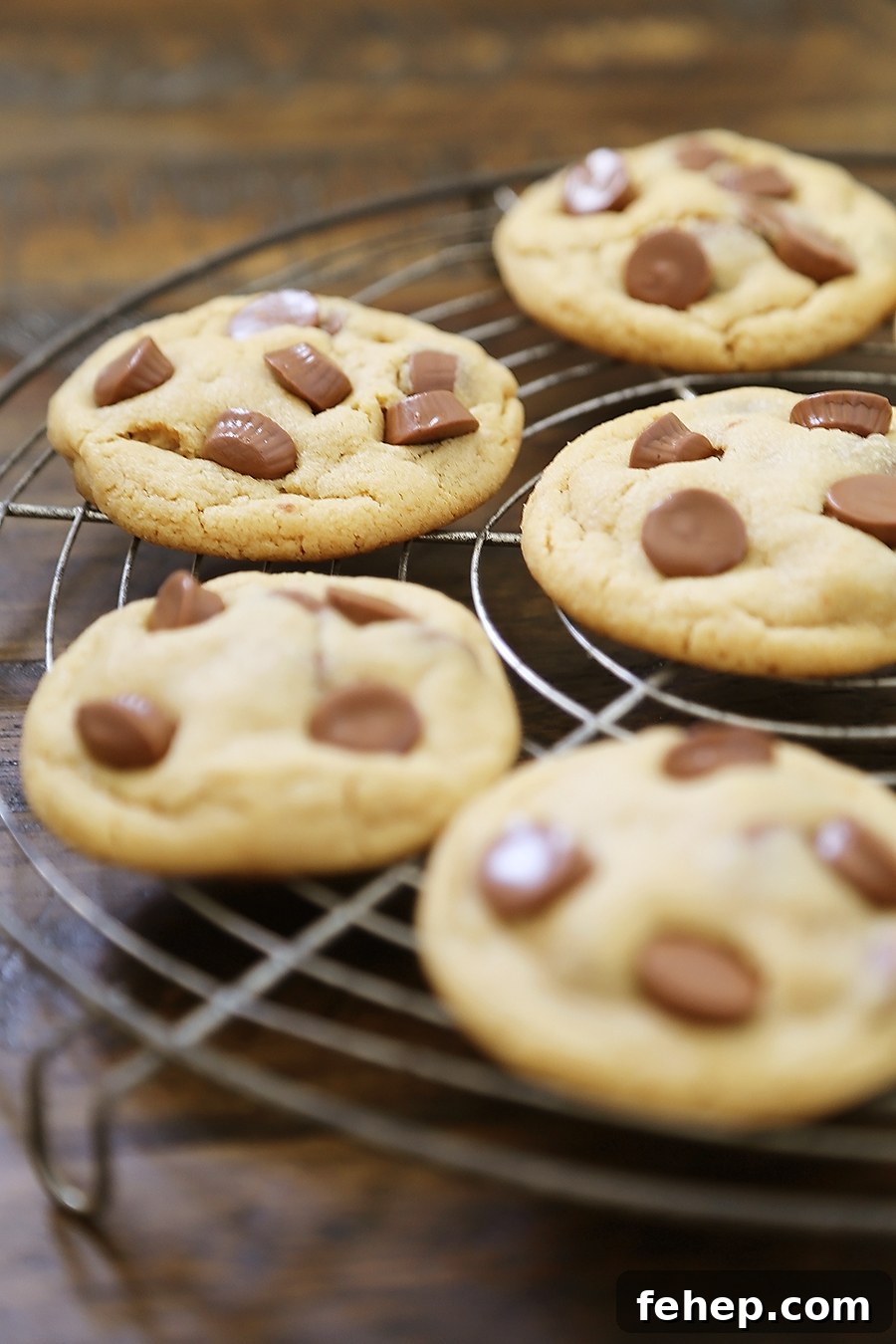Soft Peanut Butter Cup Cookies - Perfectly soft and chewy peanut butter cookies, with gooey chocolate peanut butter cups hidden inside! Thecomfortofcooking.com