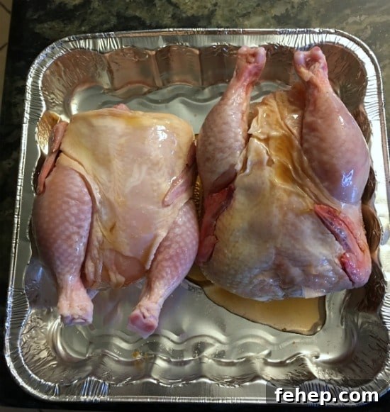 Bacon-Wrapped Cornish Hens with 3 Simple Ingredients 4 Two cornish game hens in a baking tin with maple syrup.
