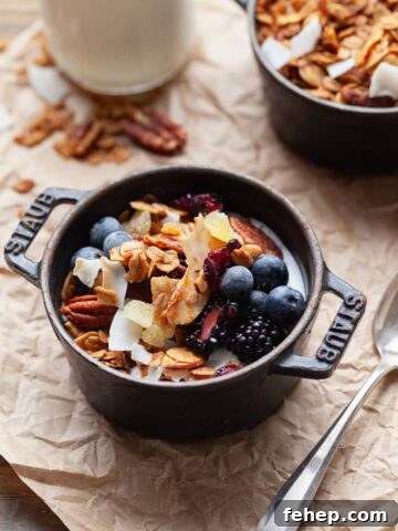 gluten free gingerbread granola with fresh fruit and yogurt
