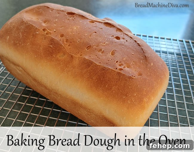 How to make Bread Dough in the Oven
