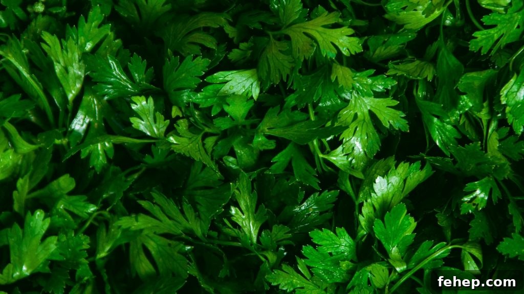 13 Cold-Hardy Plants to Grow Before Winter Arrives 14 img 125228 13