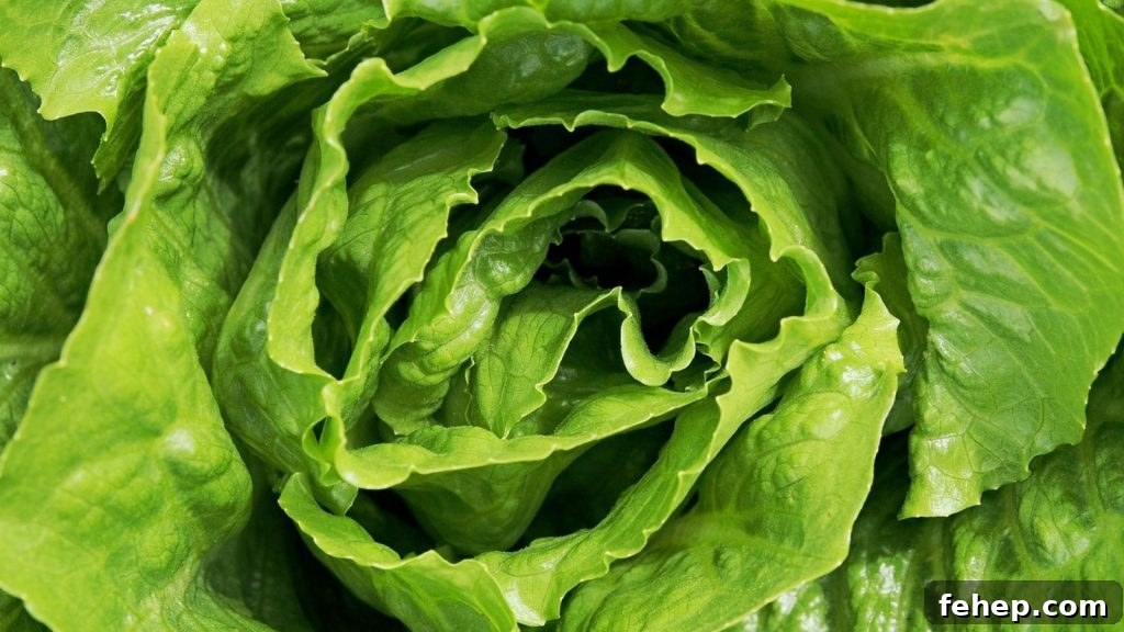 13 Cold-Hardy Plants to Grow Before Winter Arrives 7 img 125228 6