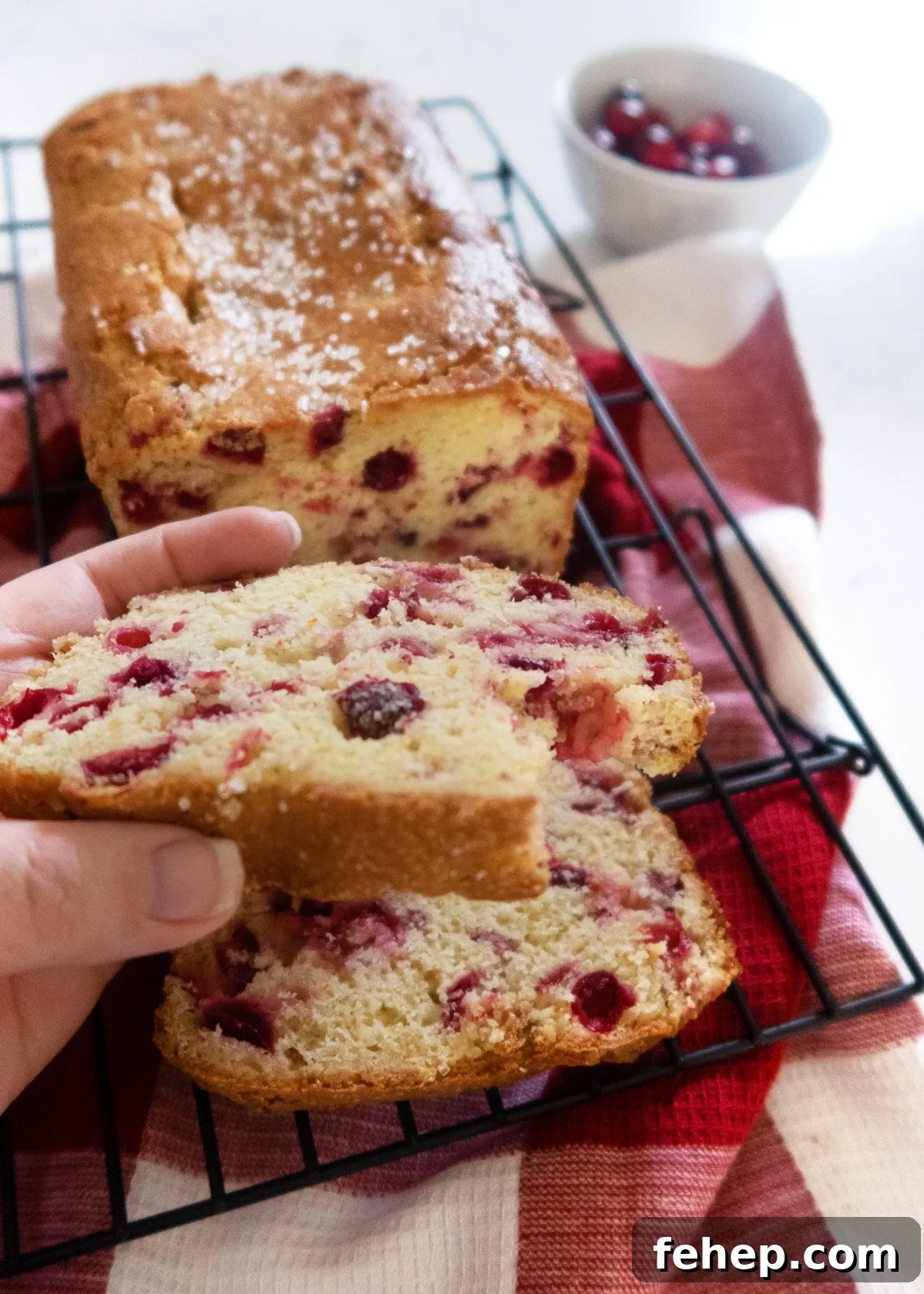 Cranberry Orange Bread