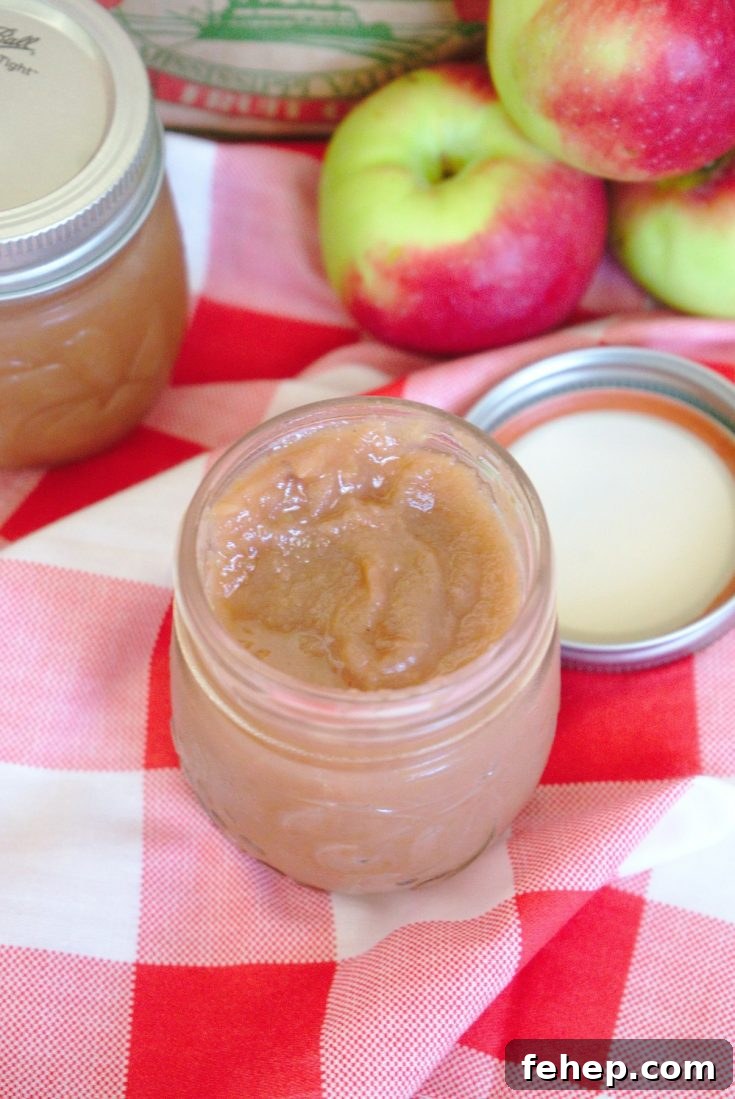 Slow Cooker Apple Butter