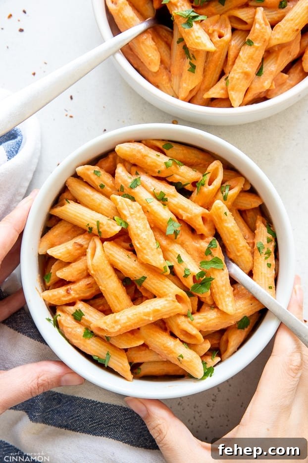Vegan Dairy-Free Penne alla Vodka Recipe for Creamy Pasta 2 overhead shot of vegan penne alla vodka