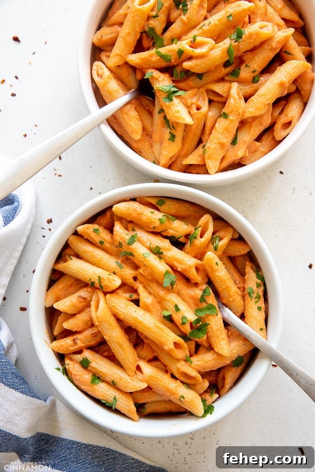 dairy free penne vodka overhead shot of two bowls of vegan dairy free penne pasta alla vodka