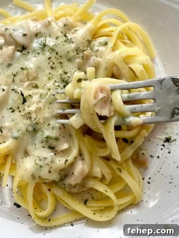 Pasta topped with white clam sauce on a plate.