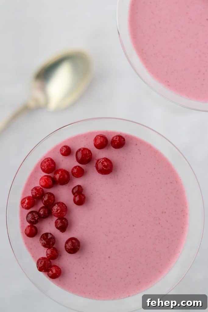 Modern Scandinavian Christmas Eve Smorgasbord Menu Ideas 15 Lingonberry mousse topped with lingonberries in a glass next to a spoon