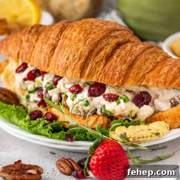 Creamy Bacon Ranch Potato Salad Recipe for Summer BBQs 9 Cranberry Chicken Salad with Pecan in a croissant sandwhich.