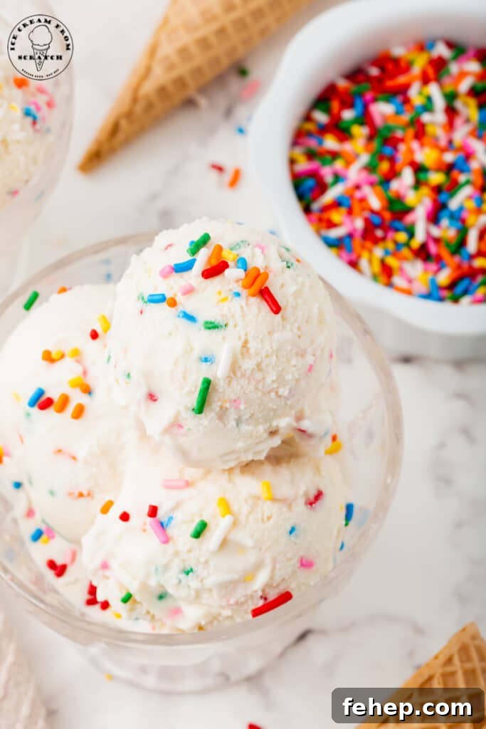 a dish of vanilla sprinkles ice cream next to a bowl of rainbow sprinkles.