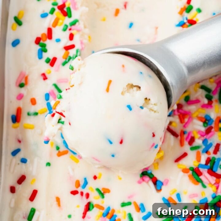 a silver ice cream scoop scooping into vanilla ice cream with sprinkles.