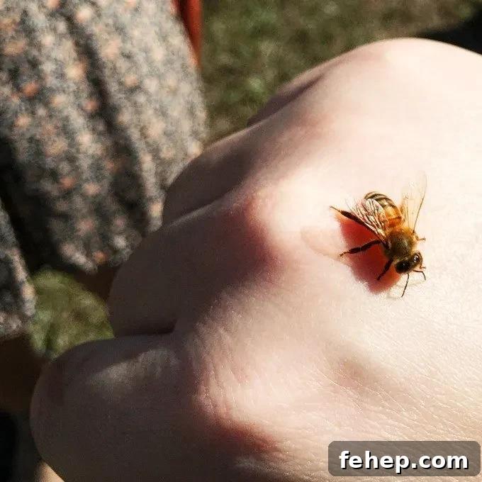 Live honey event in Florida with Honey Nut Cheerios