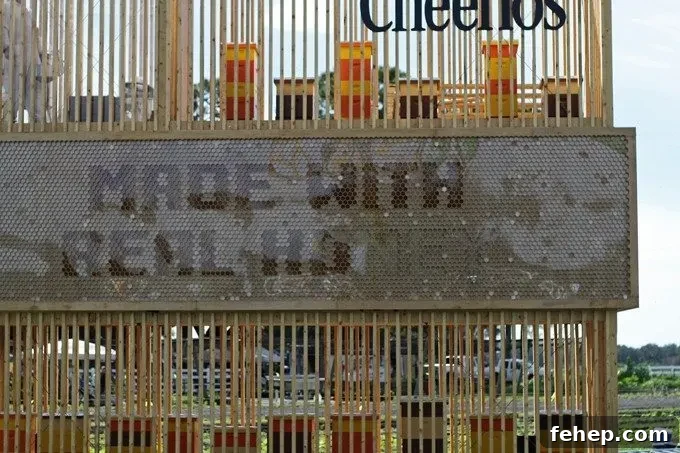 Live honey event in Florida with Honey Nut Cheerios.