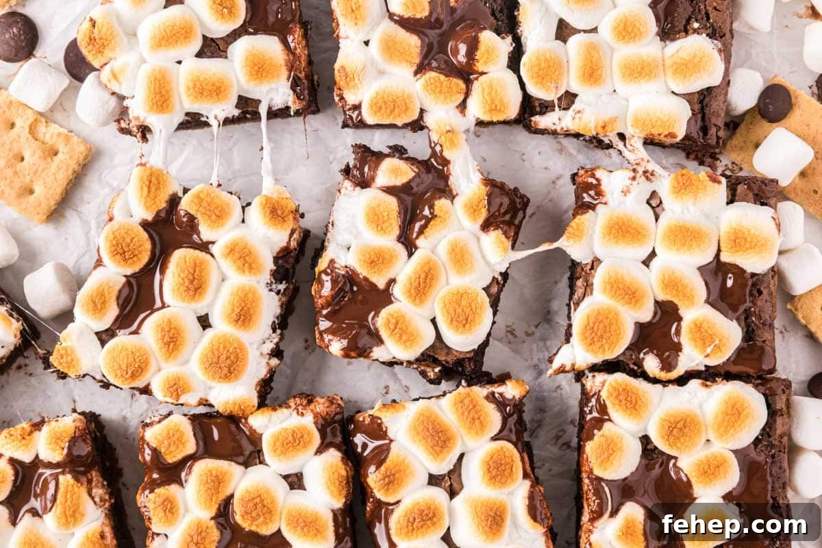 14 Gooey Brownie Recipes That Take Decadence to New Heights 5 S’mores Brownies