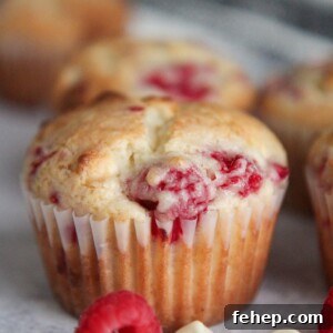 White Chocolate Raspberry Muffins Recipe with Luscious Berry Swirls 5 a muffin up close with ra raspberry and white chocolate chips on the side.