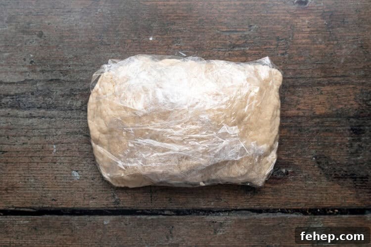 Vegan Empanadas: Flavorful Plant-Based Empanada Recipes 7 Overhead view of a large block of vegan empanada dough wrapped in plastic wrap.