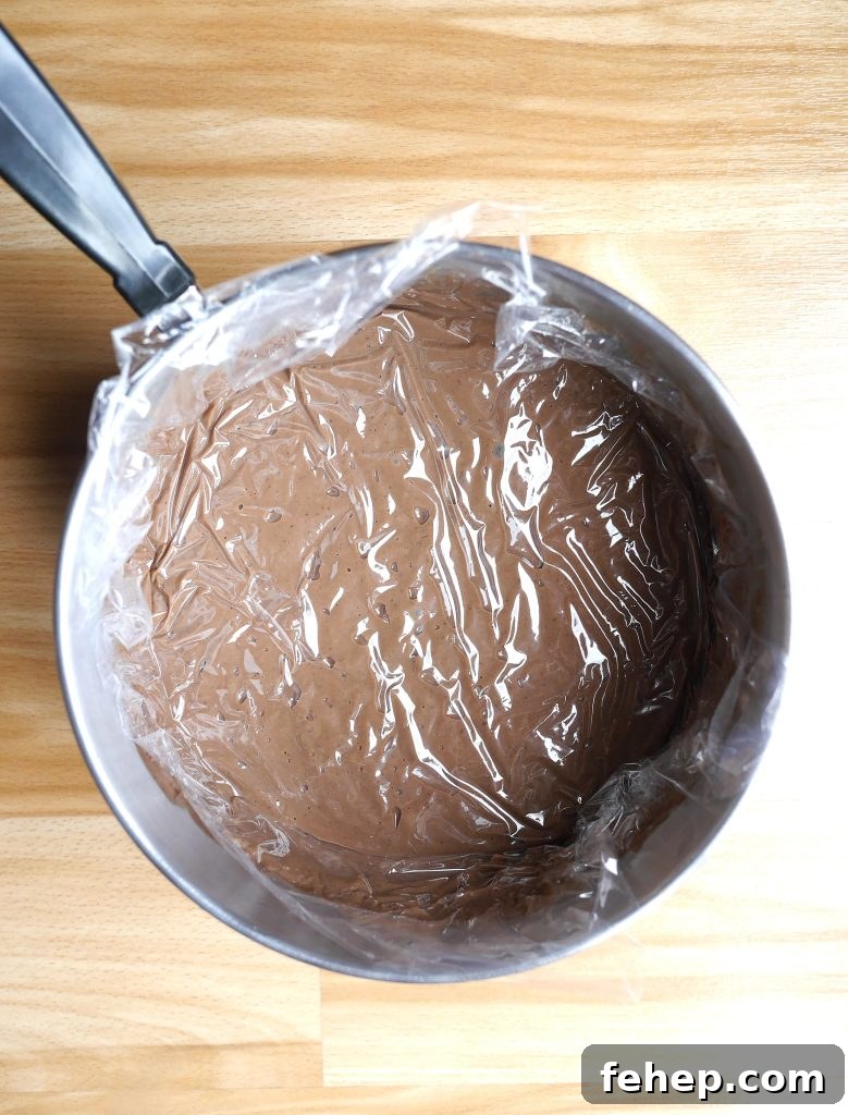 Rich and Velvety Homemade Chocolate Pudding Recipe 7 img 14471 6