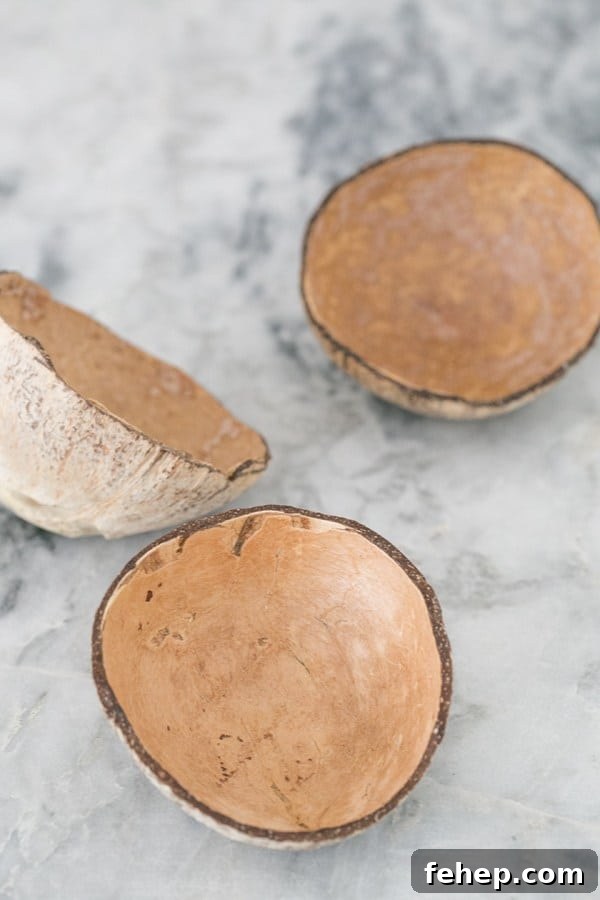 How to Make Stylish Coconut Bowls at Home 2 Side shot of diy coconut bowls