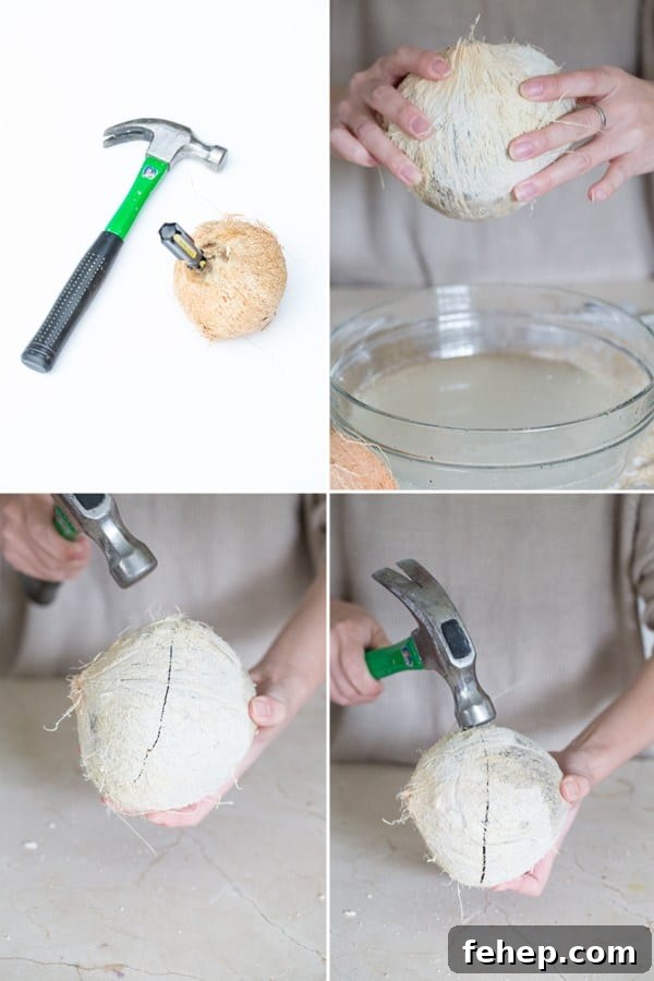 How to Make Stylish Coconut Bowls at Home 3 Montage of pictures showing a screwdriver in a coconut, someone knocking a coconut with a hammer
