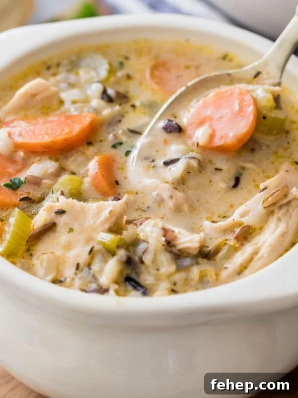 Leftover Turkey Chili Recipe: Comforting One-Pot Meal 8 bowl of chicken and rice soup with spoon scooping a bite