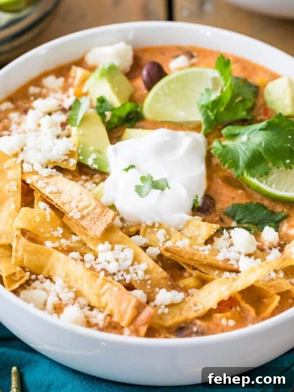 Leftover Turkey Chili Recipe: Comforting One-Pot Meal 9 Overhead view of a bowl of chicken tortilla soup topped with tortilla strips, sour cream, lime, and cilantro.