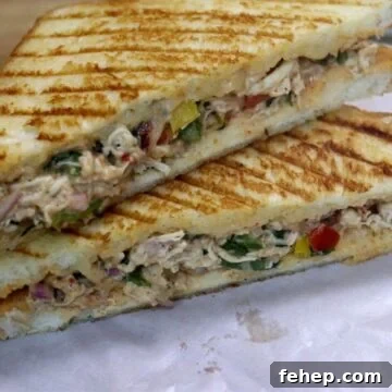 cheesy shredded chicken sandwich served with tomato sauce and green chutney.