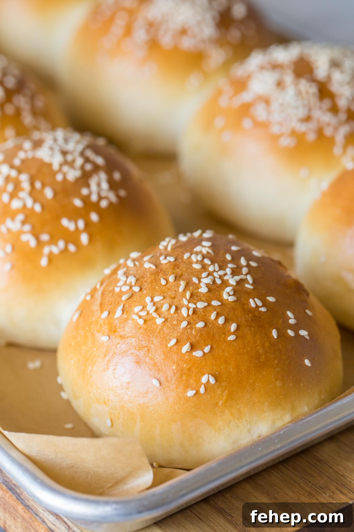 Homemade Sourdough Hamburger Buns for Tender, Tangy Burgers 3 Close up shot of Sourdough Hamburger Buns.