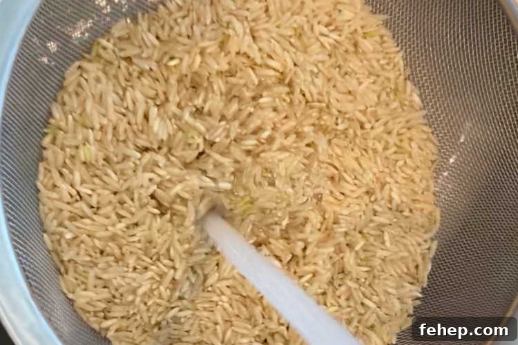 Perfect Instant Pot Brown Rice Recipe — Fluffy, Hands-Off Cook 3 rinse brown rice under water in mesh strainer