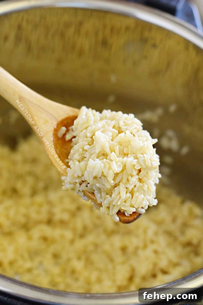 Perfect Instant Pot Brown Rice Recipe — Fluffy, Hands-Off Cook 6 perfectly cooked brown rice on a wooden spoon over the instant pot