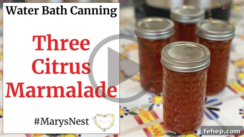 Crisp Pickled Green Beans Recipe with Water Bath Canning Guide 10 Canned marmalade