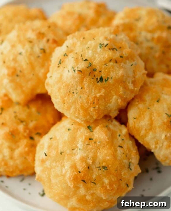 Roundup Image for Easy Keto/Low Carb recipes