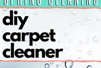DIY Dry Carpet Cleaner: Step-by-Step Homemade Powder Recipe